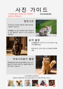 포토가이드, Photo guide